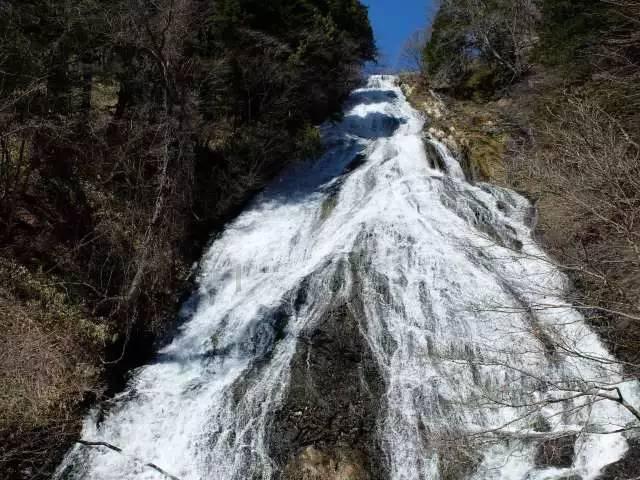 次元喵